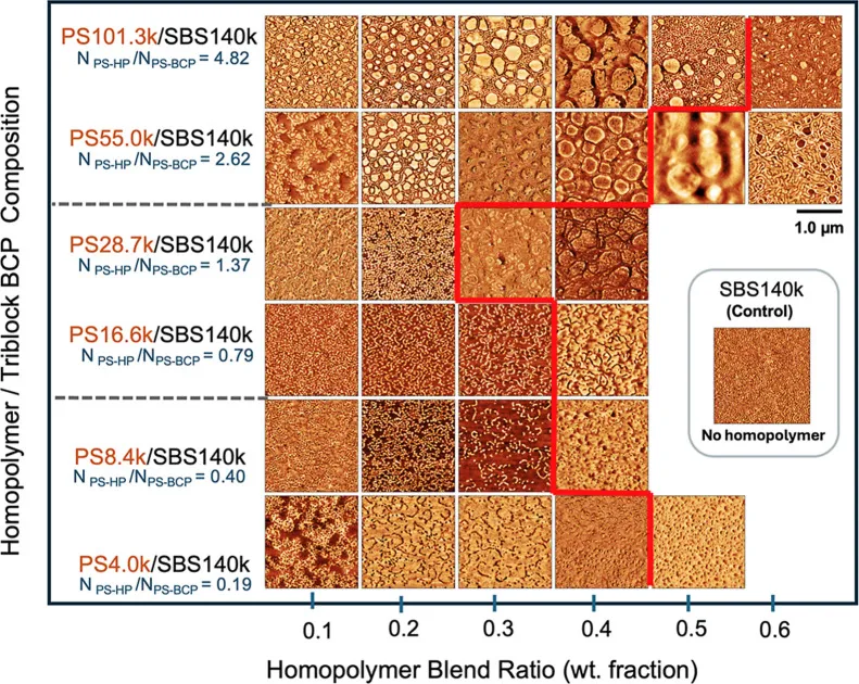 A matrix of AFM phase images across homopolymer size and blend ratio, with a red line marking the order–disorder boundary determined by GISAXS.